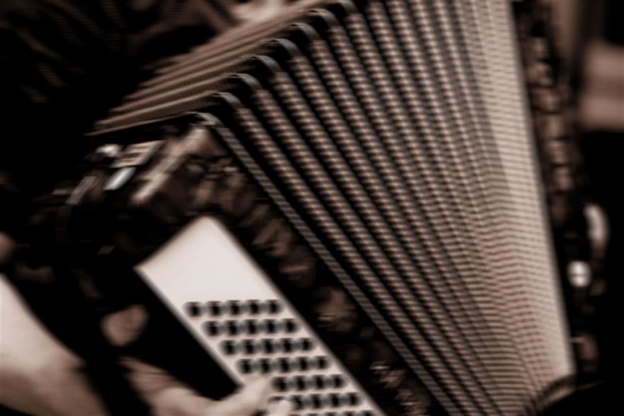 Harmonikamusik til fest