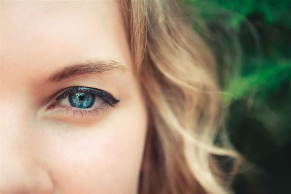 En guide til endagslinser