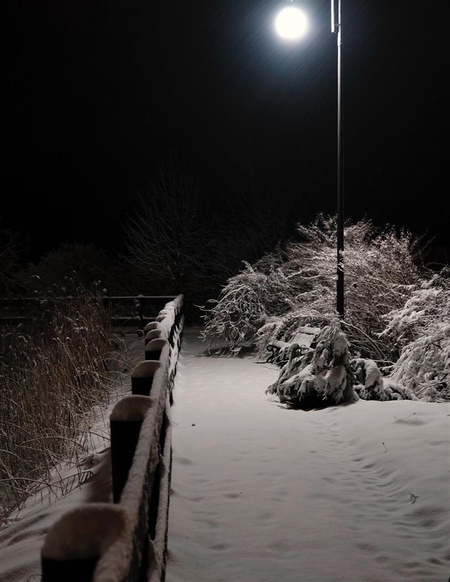 Skab sikkerhed i hjemmet med en udendørs sensorlampe med batteri